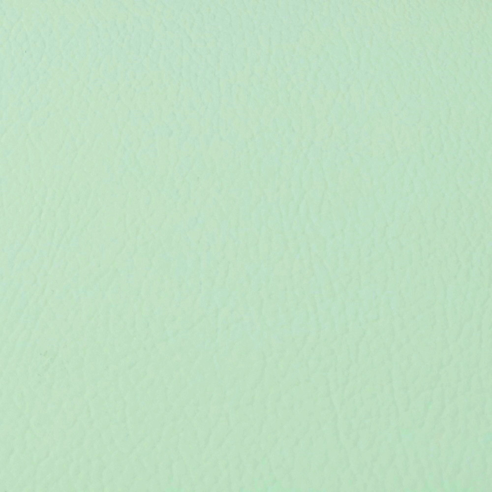 0455ac12d3bc86f8fdec8061a3c7b8ed.jpeg PVC Leather in Mint Green 0.80 mm thickness - Image 1