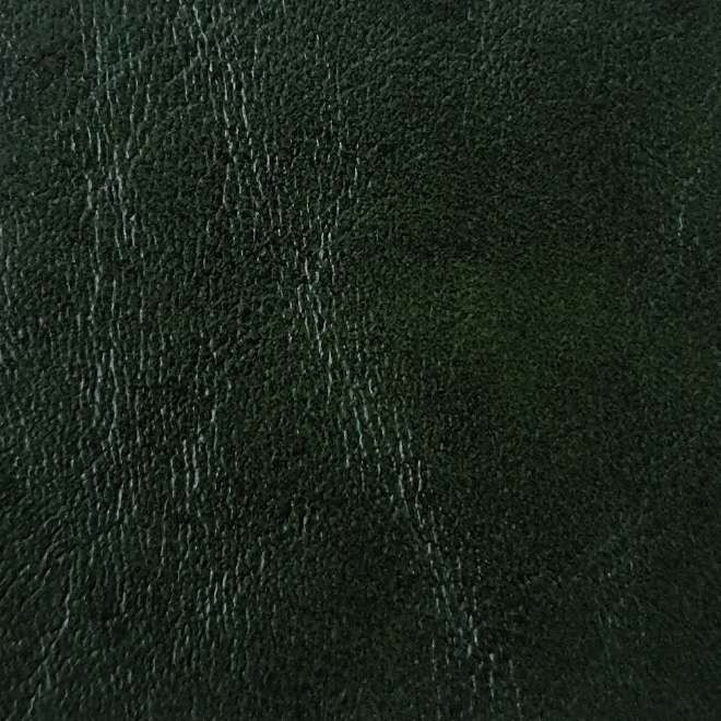 87101a315dcb13bf2745a94aa36895b2.jpeg Italian Faux Leather in Green 1.00 mm thickness - Image 1