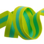 (Tula Pink) Nylon Webbing, Classic Lime with Bright Aqua 1.5"