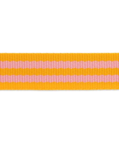 Pink/Orange- 1"- Tula Pink Webbing
