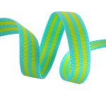 Lime/Turquoise- 1"- Tula Pink Webbing