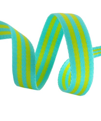 Lime/Turquoise- 1"- Tula Pink Webbing