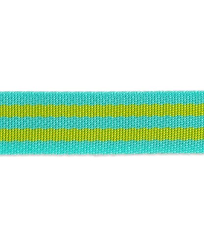 Lime/Turquoise- 1"- Tula Pink Webbing