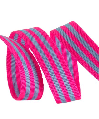 Aqua/Hot Pink- 1"- Tula Pink Webbing