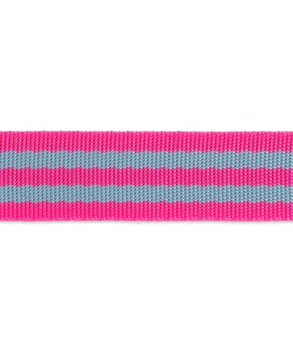 Aqua/Hot Pink- 1"- Tula Pink Webbing