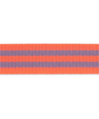 Lavender/Pink- 1"- Tula Pink Webbing
