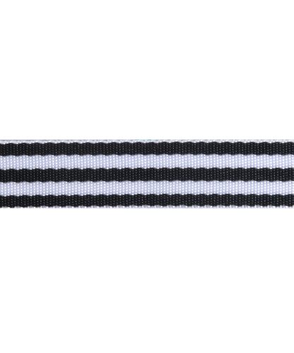 Black/White- 1"- Tula Pink Webbing